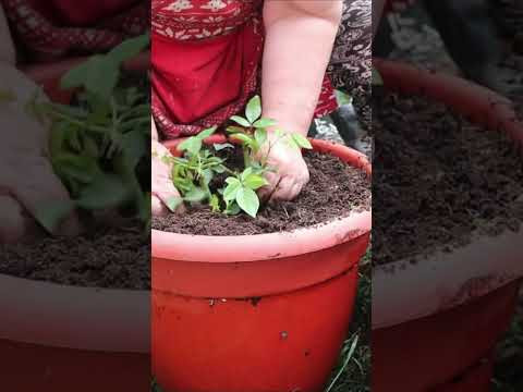 Люблю  ценю  и сделаю всё  #дом