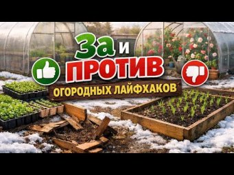 Наше решение: грядки на огороде  ЗА и ПРОТИВ #дача #садоводничество #огород