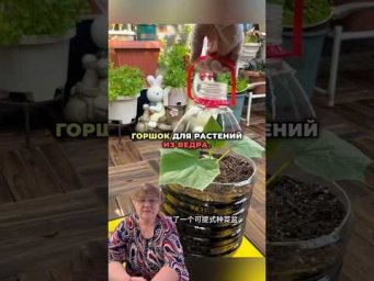 DIY Plant Pot from a Plastic Bottle &ndash; Easy & Eco-Friendly! #lifehacks