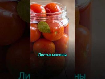 Помидоры с листьями малины &mdash; секрет, о котором мало кто знает! #рецепты #рецепт #shorts