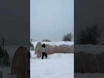 Winter in Russia #shorts