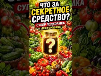 Мощная подкормка томатов и огурцов. Совет биолога #огород #дача #сад #урожай #лайфхак