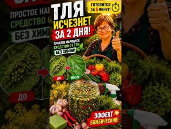Аптечное средство, после которого огурцы меняются за 3 дня! #огород #дача #огурцы