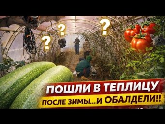 Пошли в теплицу после зимы&hellip; и ОБАЛДЕЛИ   Сколько дел  Семейные посиделки Миняева Юлия