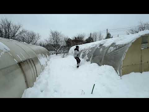 ASMR Cozy Winter in the Village  Garden Life