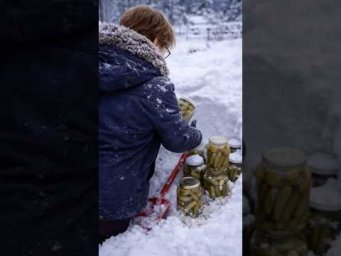 -71 Russia   best #dinner  vlog #shorts