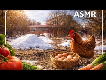 Calm Village Life  Relaxing #ASMR #asmrsounds #tascamasmr