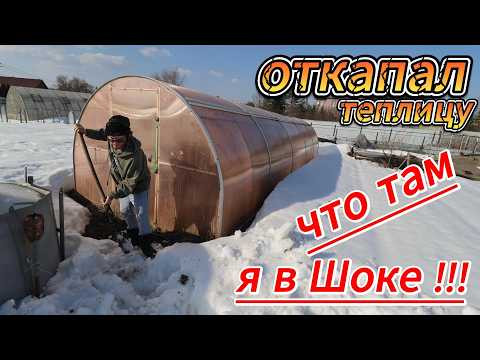 Я вообще не ожидал увидеть ЭТО в теплице после зимы !!! #asmr