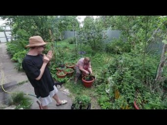#asmr One Day in the Village   Peaceful Sounds of Rural Life