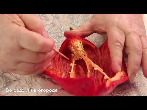 НИКОГДА НЕ БЕРИТЕ ТАКИЕ СЕМЕНА ИЗ ПЕРЦА НА ПОСАДКУ!