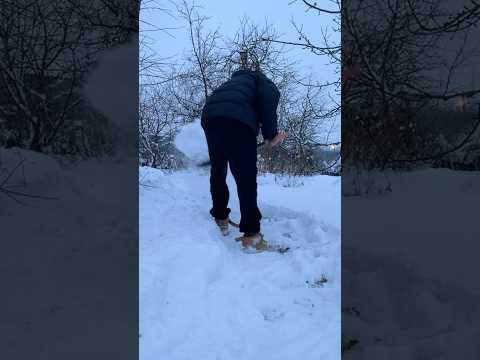 #winter #snow #shortsfunny