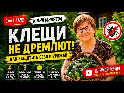 влог Семейные посиделки Миняева Юлия ( сад огород полезные советы) влог Семейные посиделки Миняева Юлия ( сад огород полезные советы)