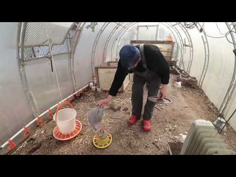 Семейные посиделки. Пруд своими руками. Весенние заботы. Жизнь в деревне . Семейные посиделки. Пруд своими руками. Весенние заботы. Жизнь в деревне .