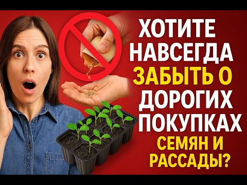 Черенкование с нуля: Как получить 100 саженцев из одного куста (даже новичок сможет). Черенкование с нуля: Как получить 100 саженцев из одного куста (даже новичок сможет).