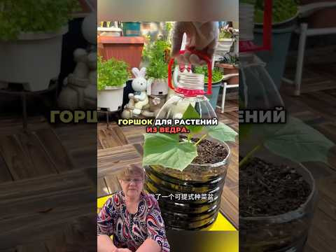 DIY Plant Pot from a Plastic Bottle – Easy & Eco-Friendly! #lifehacks DIY Plant Pot from a Plastic Bottle – Easy & Eco-Friendly! #lifehacks