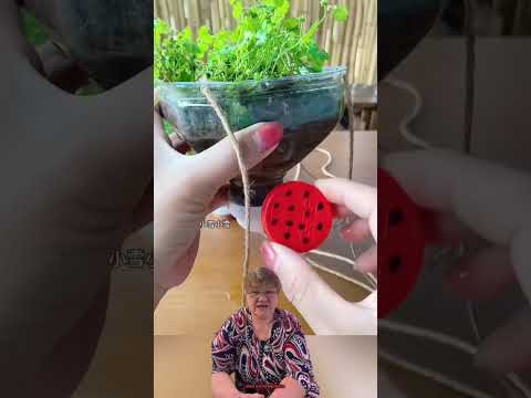 #лайфхаки которые можно сделать из бутылки #diy