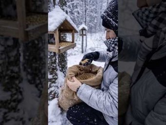 #asmr This winter  Sound Will Calm You  #shorts #relax