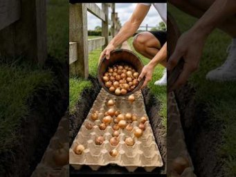 #lifehack #diy #garden #shorts