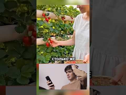 Этот способ выращивания клубники удивил даже опытных дачников! #shorts Этот способ выращивания клубники удивил даже опытных дачников! #shorts