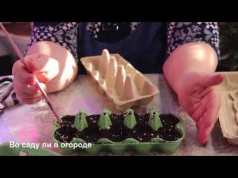 НИКОГДА НЕ ВЫКИДЫВАЙТЕ ЯЧЕЙКИ ОТ ЯИЦ! Гениальный посев без грязи и боли в спине