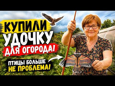 купили удочку  на огород , Зачем??? / Семейные посиделки/ Юлия Миняева