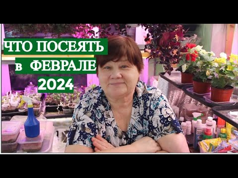 НЕ ЗАБУДЬТЕ ПОСЕЯТЬ ЭТО В ФЕВРАЛЕ! Что посеять в феврале 2024 НЕ ЗАБУДЬТЕ ПОСЕЯТЬ ЭТО В ФЕВРАЛЕ! Что посеять в феврале 2024