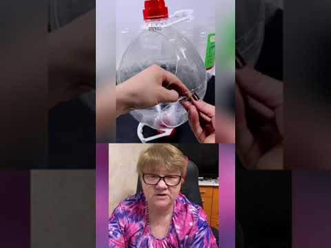 DIY Aquarium from a Plastic Bottle &ndash; Easy Lifehack