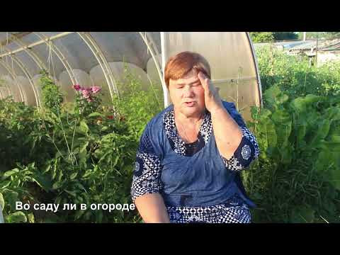 ЧТО ЖЕ Я НАДЕЛАЛА! Останемся БЕЗ БАКЛАЖАНОВ? Не повторяйте мою ошибку! ЧТО ЖЕ Я НАДЕЛАЛА! Останемся БЕЗ БАКЛАЖАНОВ? Не повторяйте мою ошибку!