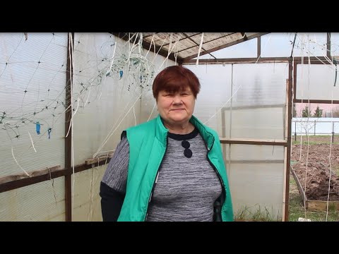 Это ЛУЧШИЙ СПОСОБ ПОСАДКИ в ТЕПЛИЦЕ! Вот почему Я СЛОМАЛА все ГРЯДКИ в теплице. Это ЛУЧШИЙ СПОСОБ ПОСАДКИ в ТЕПЛИЦЕ! Вот почему Я СЛОМАЛА все ГРЯДКИ в теплице.
