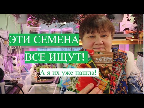 ЭТИ СЕМЕНА ИЩУТ ВСЕ! А Я ТЕПЕРЬ ЗНАЮ, ГДЕ ИХ МОЖНО НАЙТИ! ЭТИ СЕМЕНА ИЩУТ ВСЕ! А Я ТЕПЕРЬ ЗНАЮ, ГДЕ ИХ МОЖНО НАЙТИ!