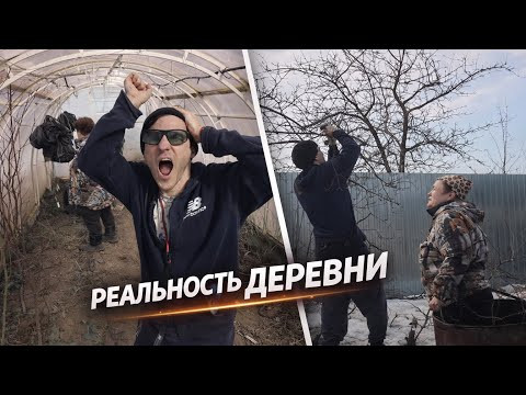 Деревенские будни работы оказалось больше, чем мы думали Семейные посиделки Деревенские будни работы оказалось больше, чем мы думали Семейные посиделки