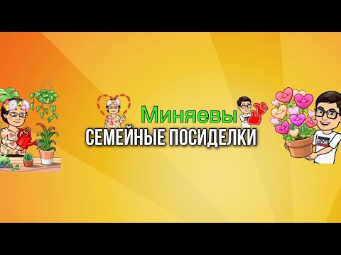 МИНЯЕВА ЮЛИЯ  СЕМЕЙНЫЕ ПОСИДЕЛКИ ТРАНСЛЯЦИЯ