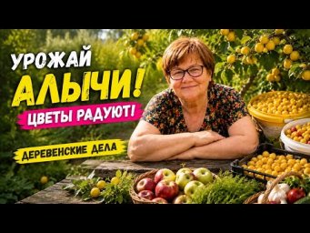 УРОЖАЙ АЛЫЧИ!  Сбор, цветы и деревенские дела  Один день в деревне #vlog