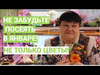 НЕ ЗАБУДЬТЕ ПОСЕЯТЬ ЭТО В ЯНВАРЕ! 2023. Не пропустите сроки!