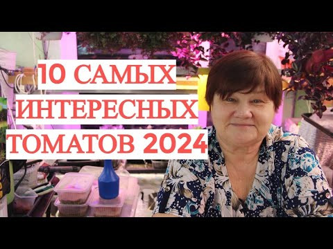 10 САМЫХ ИНТЕРЕСНЫХ ТОМАТОВ 2024