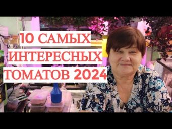 10 САМЫХ ИНТЕРЕСНЫХ ТОМАТОВ 2024